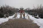20060206_0288