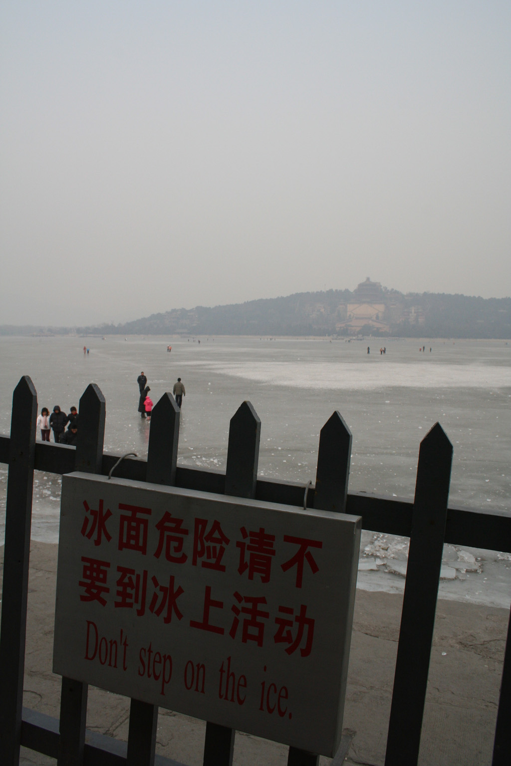 20060205_0264
