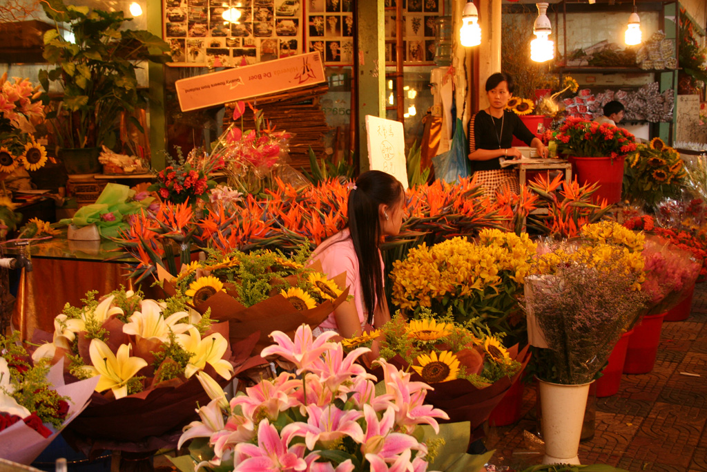 20050924_0181