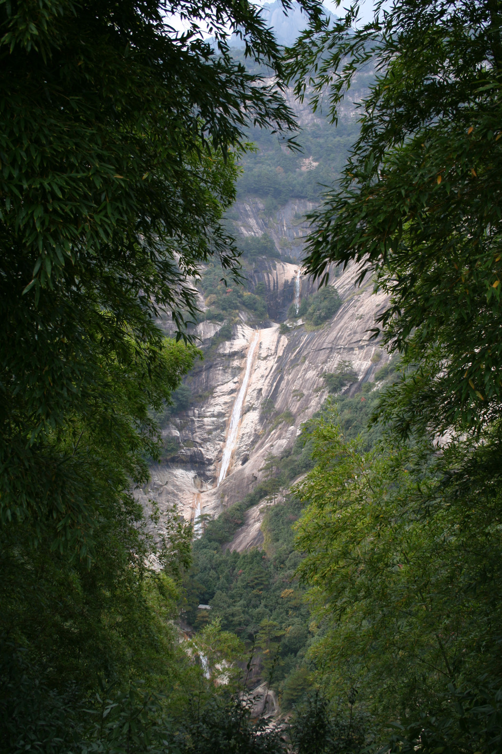 20051105_0004