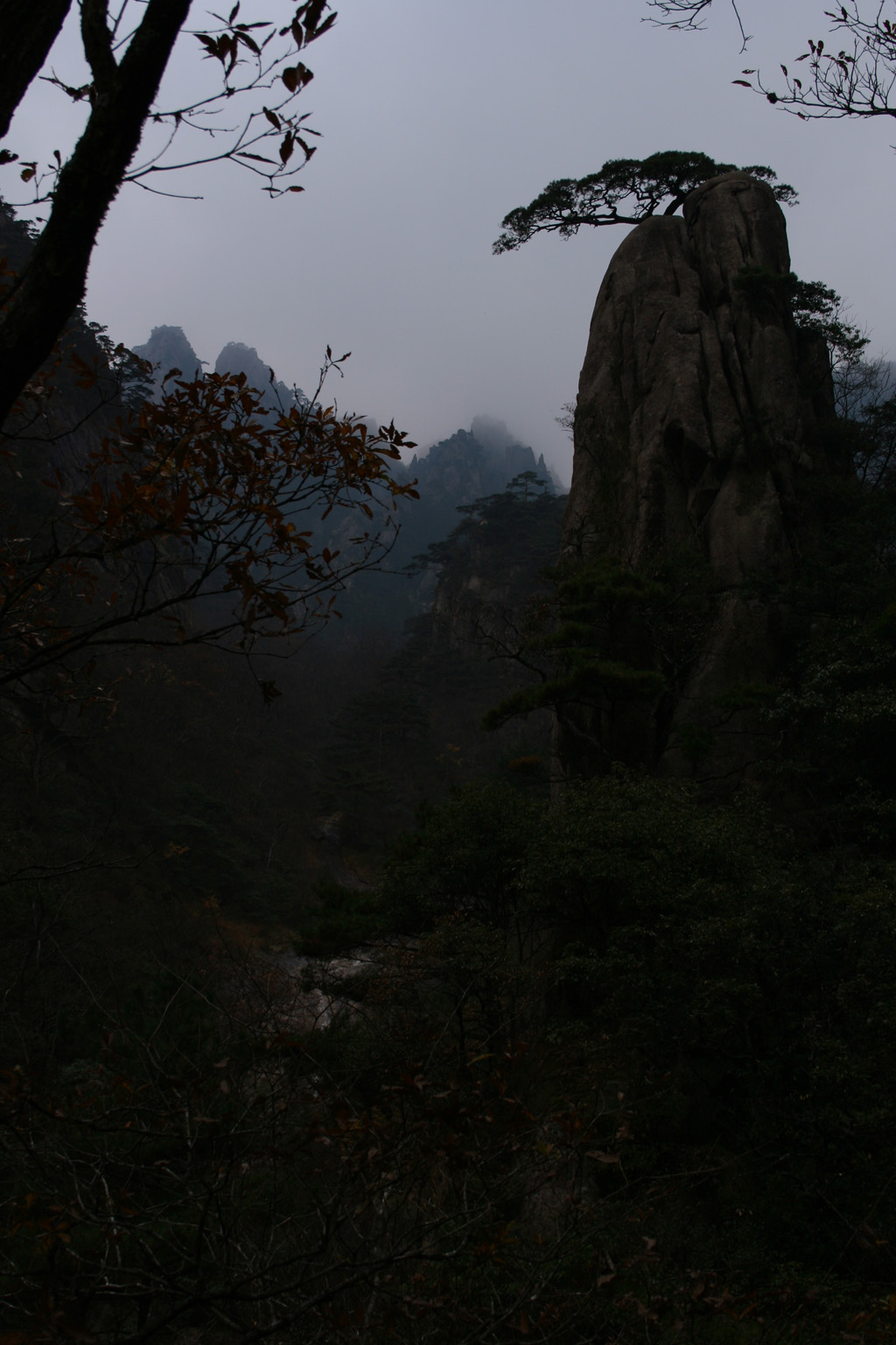 20051105_0017
