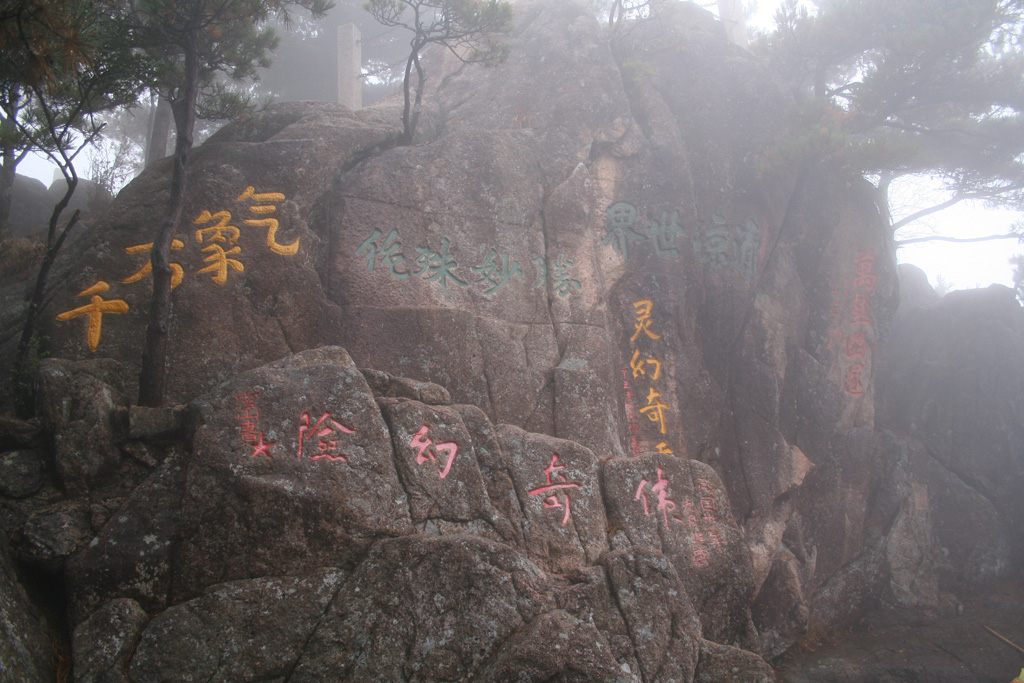 20051106_0022