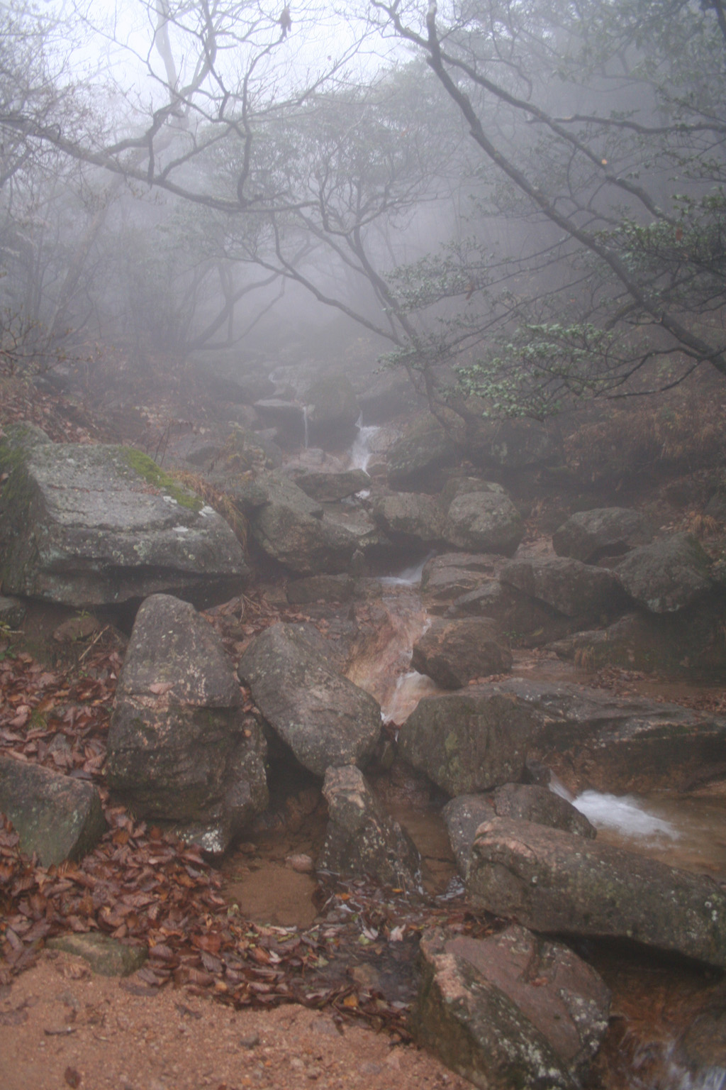 20051106_0024
