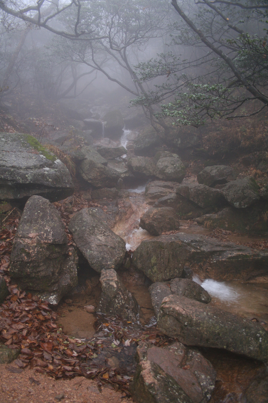 20051106_0025