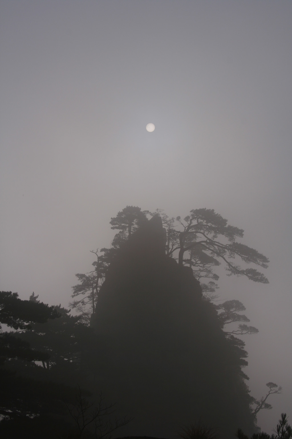 20051106_0032