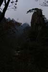 20051105_0017