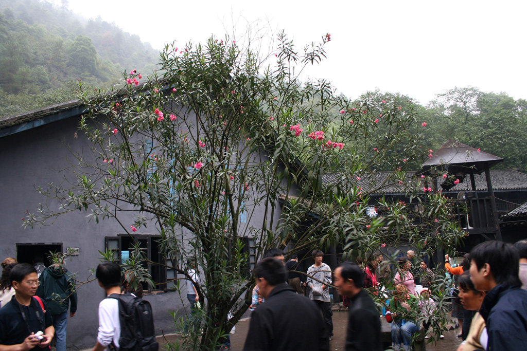 IMG_0334