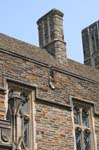 20070708_0045