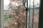 fourteen4