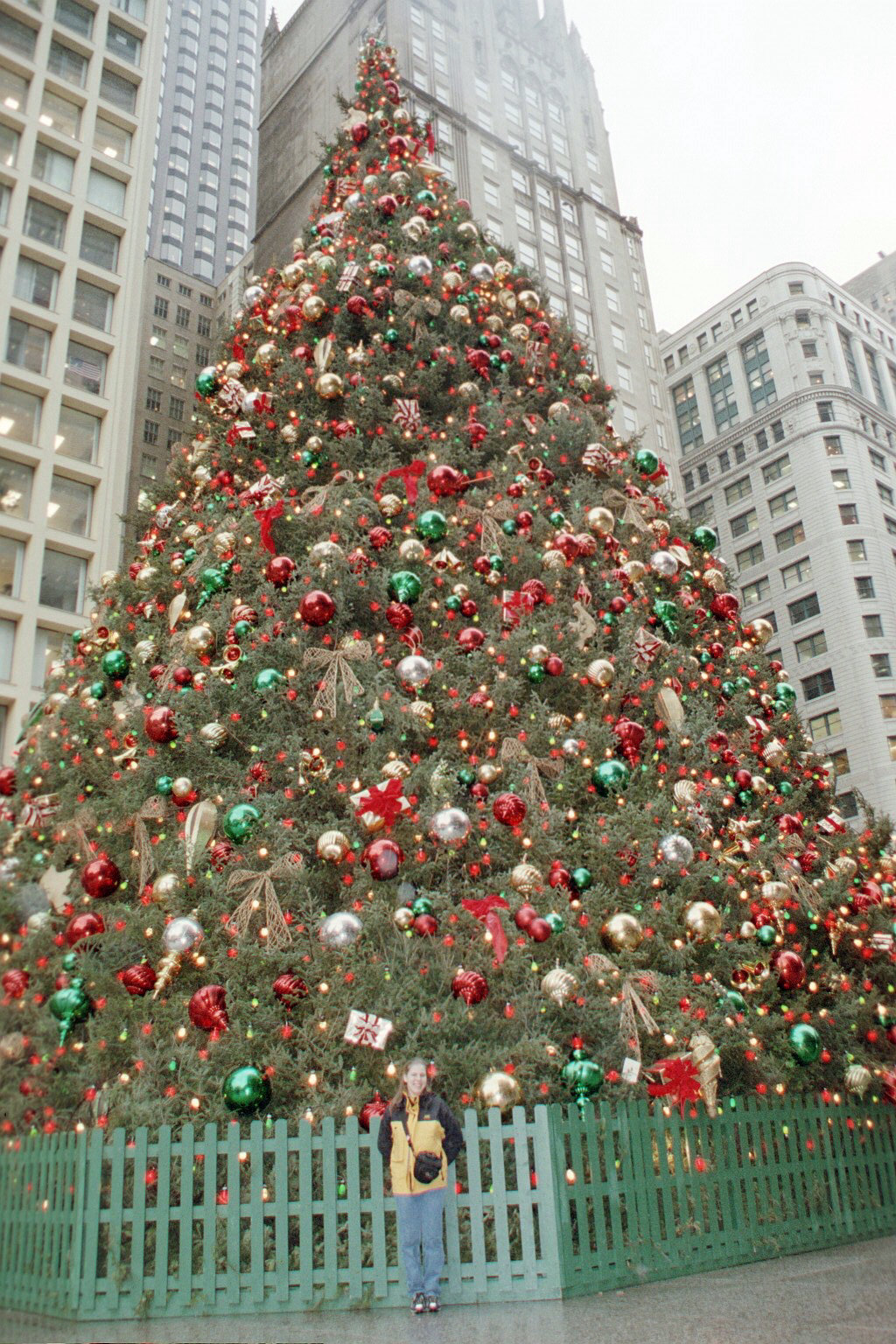 image_1716725920031511914