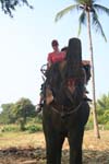 IMG_0812